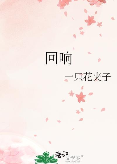 回响电视剧简介